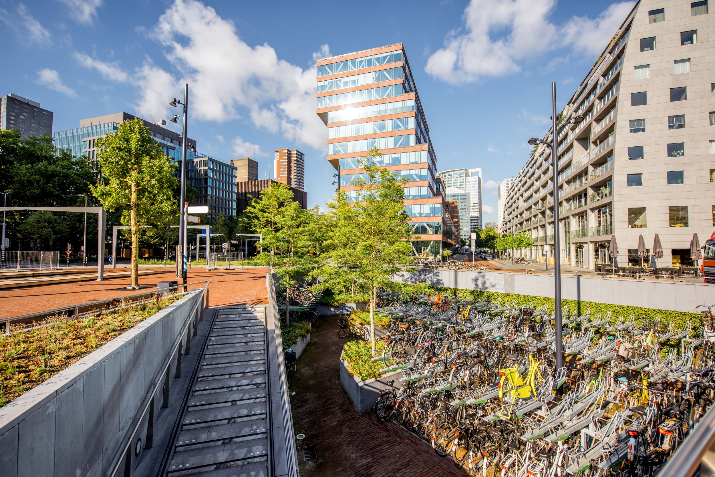 Foto van Rotterdam met op de voorgrond fietsenstallingen en bomen en op de achtergrond gebouwen